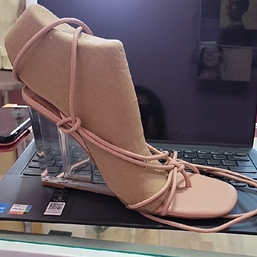 Wild Pair Blush Strappy Heels with Clear Block Heel